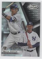 Miguel Andujar