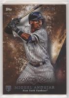 Miguel Andujar #/50