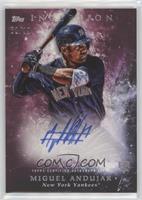 Miguel Andujar #/99