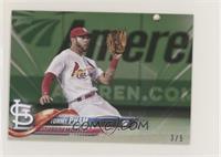 Tommy Pham #/5