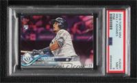 Willy Adames [PSA 9 MINT] #/25