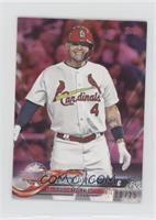 Yadier Molina #/25