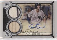 Greg Bird #/299