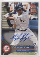 Miguel Andujar [Noted] #/115