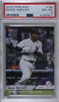 Miguel Andujar [PSA 8 NM‑MT] #/1,177