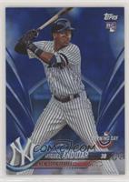 Miguel Andujar