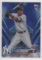 Miguel Andujar