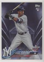 Miguel Andujar