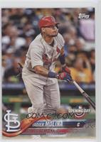 Yadier Molina