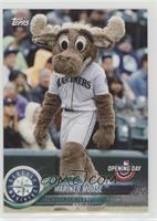 Mariner Moose