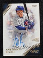 Anthony Rizzo #/60
