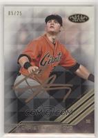 Christian Arroyo #/25