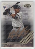 Miguel Andujar #/25