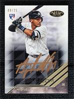 Miguel Andujar #/25