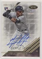 Miguel Andujar #/275