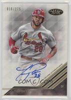 Tommy Pham #/275