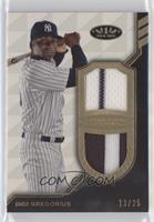 Didi Gregorius #/25