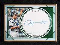 Gary Sanchez (Horizontal) #/15