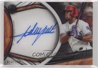 Adrian Beltre #/110