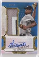 Luis Severino #/10