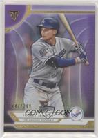 Corey Seager #/299