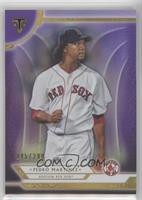 Pedro Martinez #/299