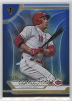 Joey Votto #/25