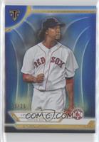 Pedro Martinez #/25