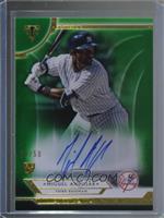 Miguel Andujar #/50