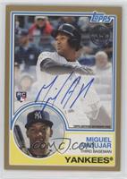 Miguel Andujar #/50