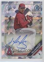 Jose Suarez #/100