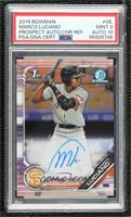Marco Luciano [PSA 9 MINT] #/499