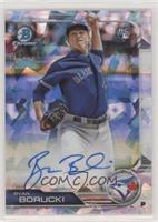 Ryan Borucki #/100