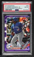 Vladimir Guerrero Jr. [PSA 8 NM‑MT] #/250