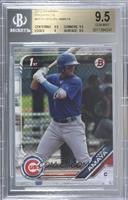 Miguel Amaya [BGS 9.5 GEM MINT]