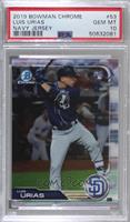 Luis Urias (Dark Blue Jersey) [PSA 10 GEM MT]