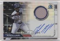 Miguel Andujar #/75