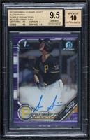 Sammy Siani [BGS 9.5 GEM MINT] #/250