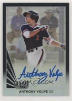 Anthony Volpe #/15