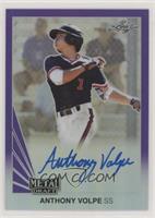 Anthony Volpe #/25