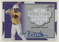 Brandon Fields #/12