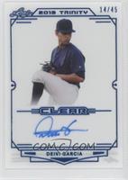 Deivi Garcia #/45