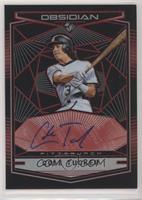 Cole Tucker [EX to NM] #/25