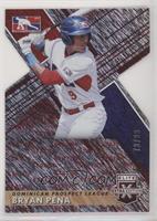 Dominican Prospect League - Bryan Pena #/99
