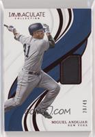 Miguel Andujar #/49