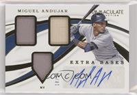 Miguel Andujar #/25