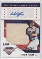 Collegiate National Team - Andrew Vaughn #/49