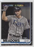 Austin Meadows #/67