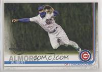 Albert Almora