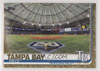 Tampa Bay Rays #/2,019